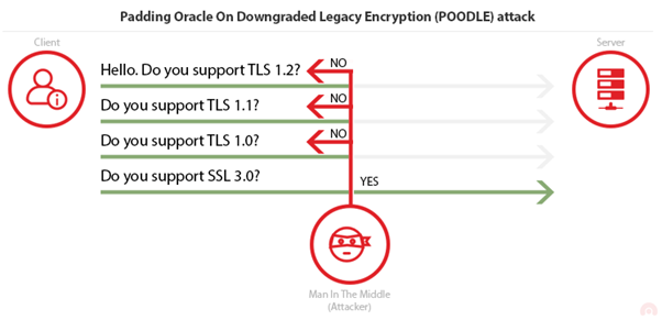 Pri man-in-the-middle môže útočník vykonať SSL downgrade